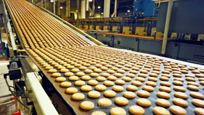 دراسة جدوي مصنع صناعات غذائية