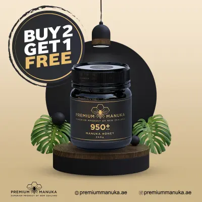 تصميم بورشور