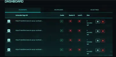 Penetration Testing Engagement – Web Application Security Assessment