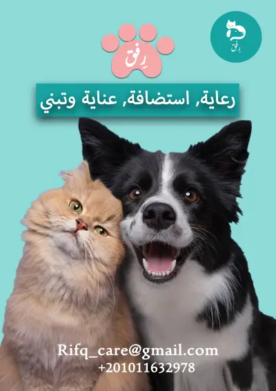 صورة العمل تصميم هوية بصرية تعكس فكرتك