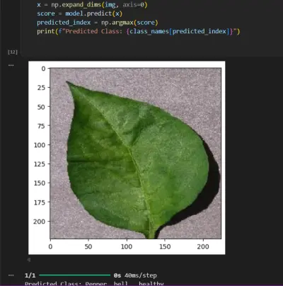 تشخيص امراض النباتمن خلال الصور باستخدام ai
