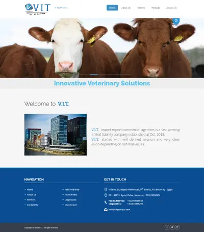 Vit Group import export