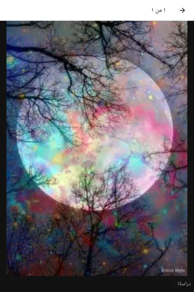 كاتبة روايات مبدعة و محترفة