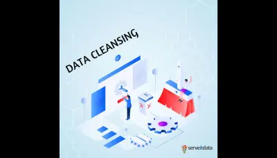 Data Cleaning & Data Preprocessing Service
