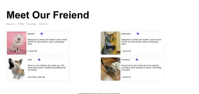 متجر للحيوانات الاليفه