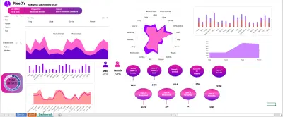 NEED’S ANALYTICS DASHBOARD – EXCEL