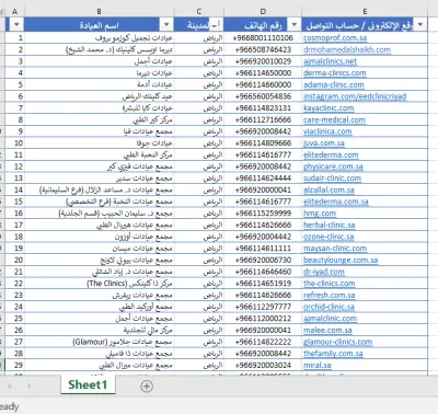 تجميع وتدقيق قاعدة بيانات شاملة لعيادات التجميل في السعودية