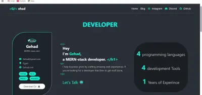 Professional Portfolio