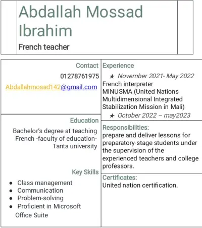 تصميم وإعداد سيرة ذاتية (CV) احترافية باستخدام Microsoft Word