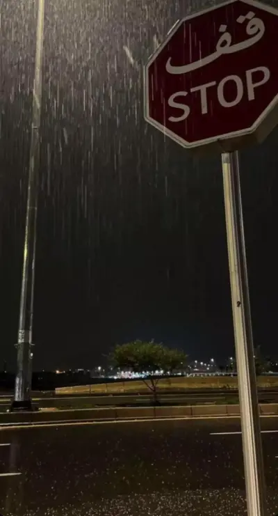 مُنْتَجْ    مُبَرْمِجْ    مُتَرْجِمْ