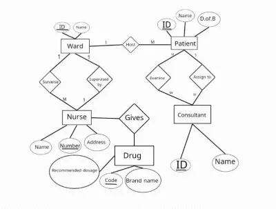 تصميم وهيكلة قاعدة بيانات متكاملة لإدارة المنشآت الصحية (Hospital Management ERD).