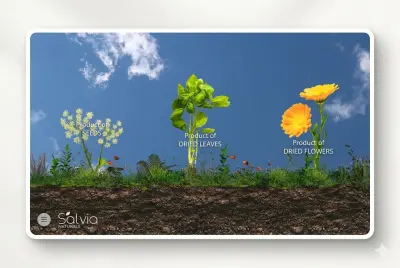 موقع الكترونى لشركة منتجات ذراعية ( Salvia Natural )