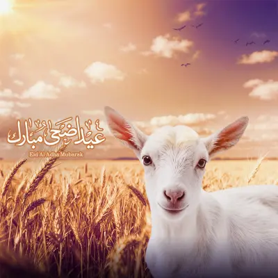 Elegant Event Invitations | Weddings, Engagements & Baby Showers (تصميم دعوات ومناسبات راقية | أفراح، خطوبة، ومواليد)