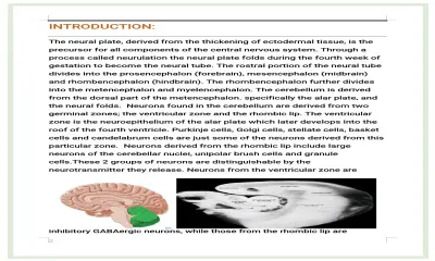 كتابة ابحاث علمية وطبية
