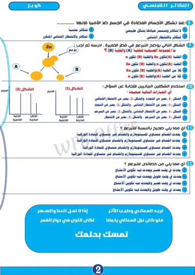 مصر_المنوفيه_منوف_برهيم