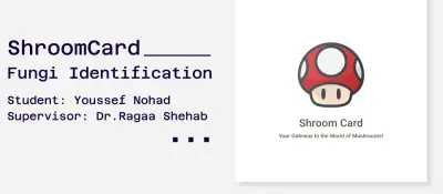 professional presentation