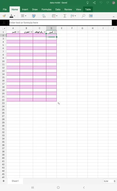 نموذج بيانات شخصية
