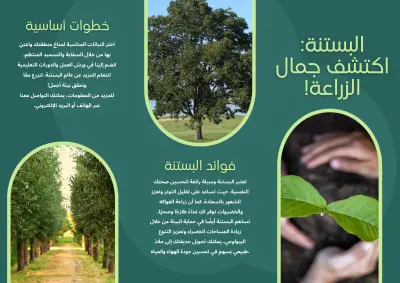 تصميم اعلانات