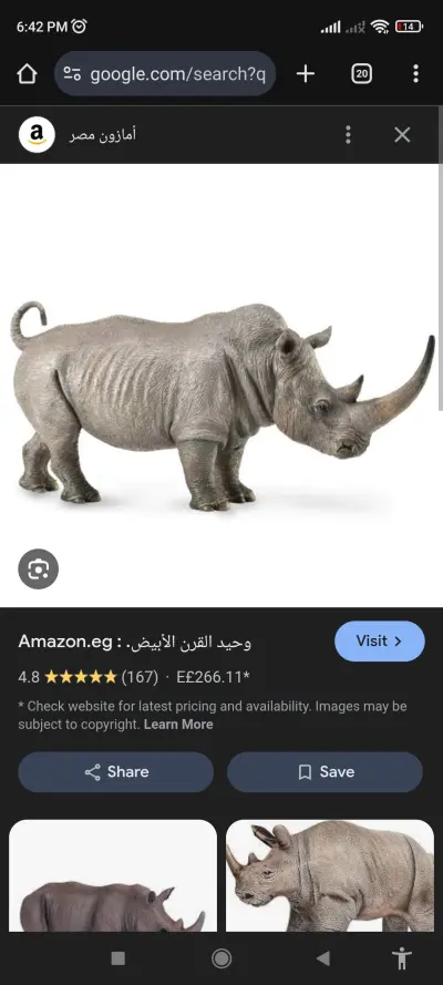 اعطاء اراء على خرائط جوجل