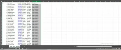 مشروع إدخال البيانات (الـ 300 بيان في إكسيل)