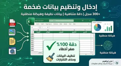 إدخال وتنظيم بيانات ضخمة (300+ سجل) على Excel بدقة احترافية.