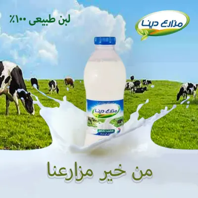 Dina Farms Products – Social Media Campaign