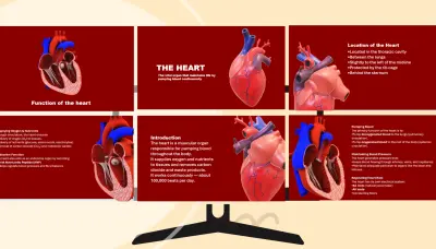 تصميم عرض باوربوينت انفوجرافيك يعكس أفكارك وابداعك