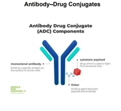 إعداد بحث أكاديمي متكامل مع توثيق APA