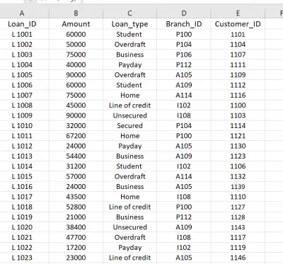 Customer Data Entry and Cleaning using Microsoft Excel