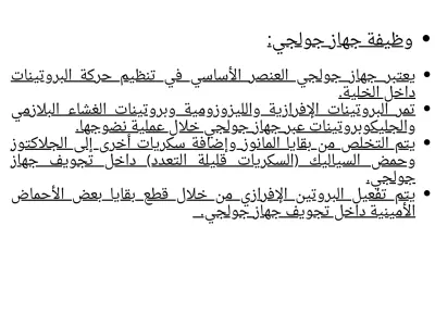 ترجمة صفحات ومقالات