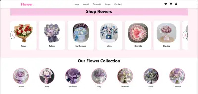 تعديل تصاميم المواقع باستخدام (HTML, CSS, JS).