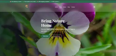 تطوير واجهة مستخدم (Front-end) لمتجر نباتات وزهور إلكتروني (نبتتك)