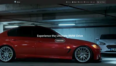 BMW Website