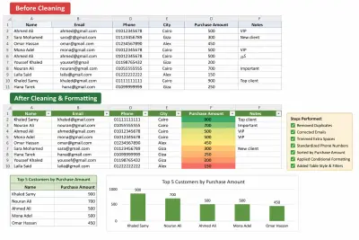 Customer Data Cleaning and Organization using Excel