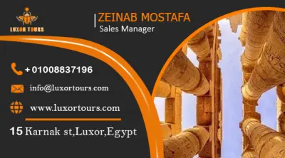 تصميم هويه بصريه اعلانيه لشركه سياحيه