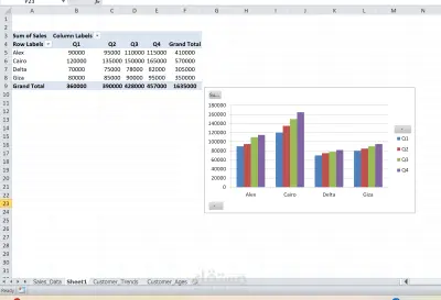 Excel Charts Project