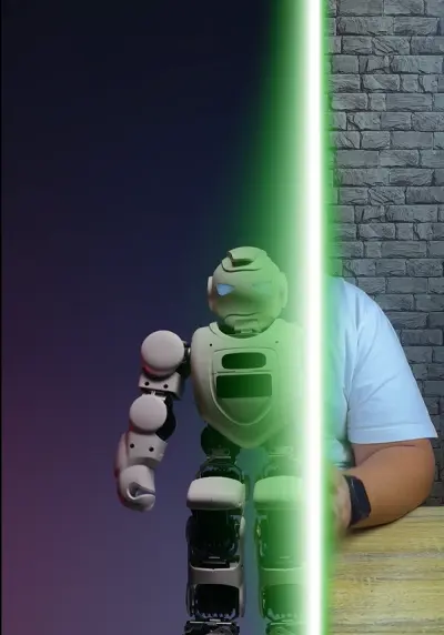 Motion Graphic vs Voice Over