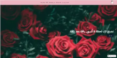 موقع محل ورود