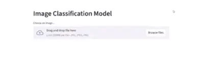 Fruit & Vegetable Image Classifier