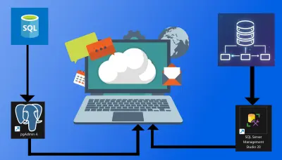 إنشاء داتا بيز كامل لمكتب أنميشن استيديو