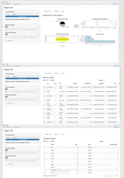 Grocery Data Analysis & Customer Segmentation System using R and Shin