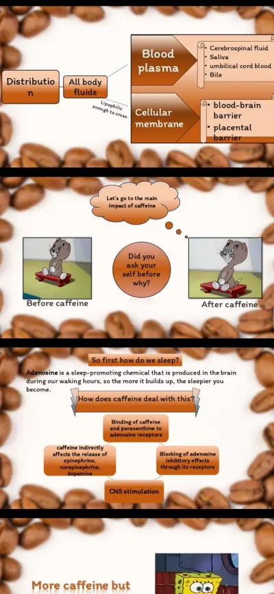 power point presentation