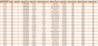 Influencer Marketing Capstone Requirements