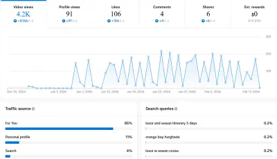 مسوق الكترونى