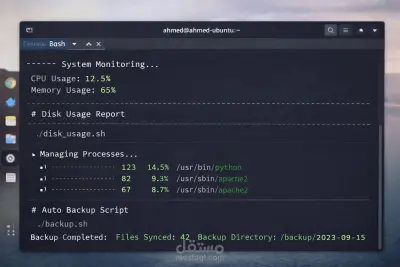 Linux Server Automation Script