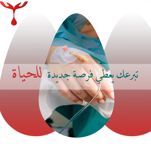 Social media designer