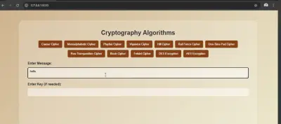 Secure Web Application for Custom Text Cryptography