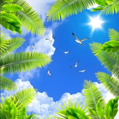 مصمم محترف ومهندس اتصالات