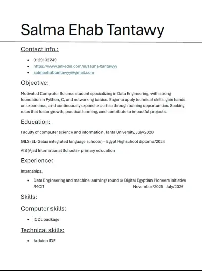professional CV and portfolio