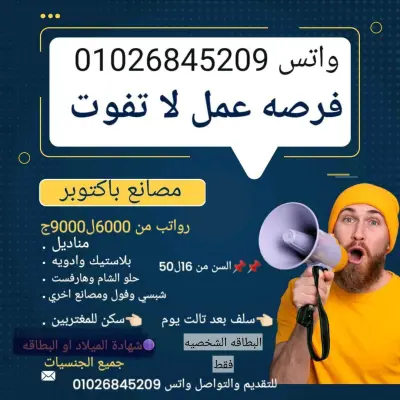 تصميم لوجو برند محترف